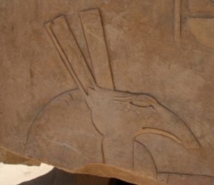 The god Seth. Relief from a block in the Open Air Musuem of Karnak. Photo: Mª Rosa Valdesogo Martín.